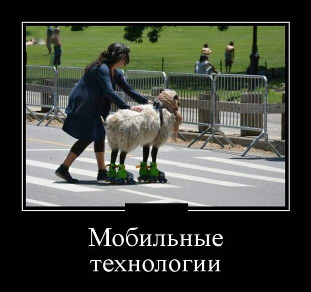 Демотиваторы (30 фото)