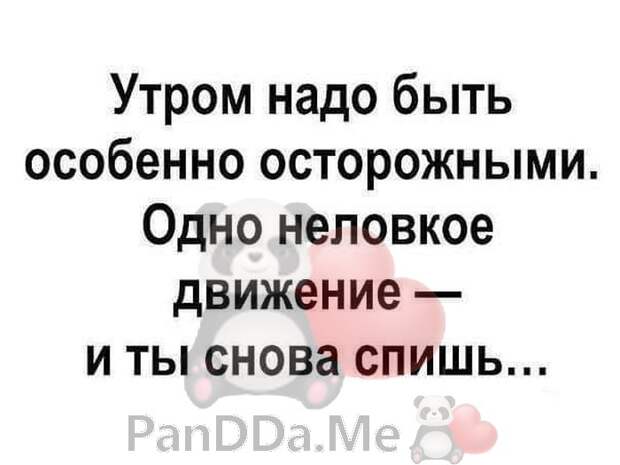 Утром надо быть особенно осторожным одно неловкое движение и ты снова спишь картинки