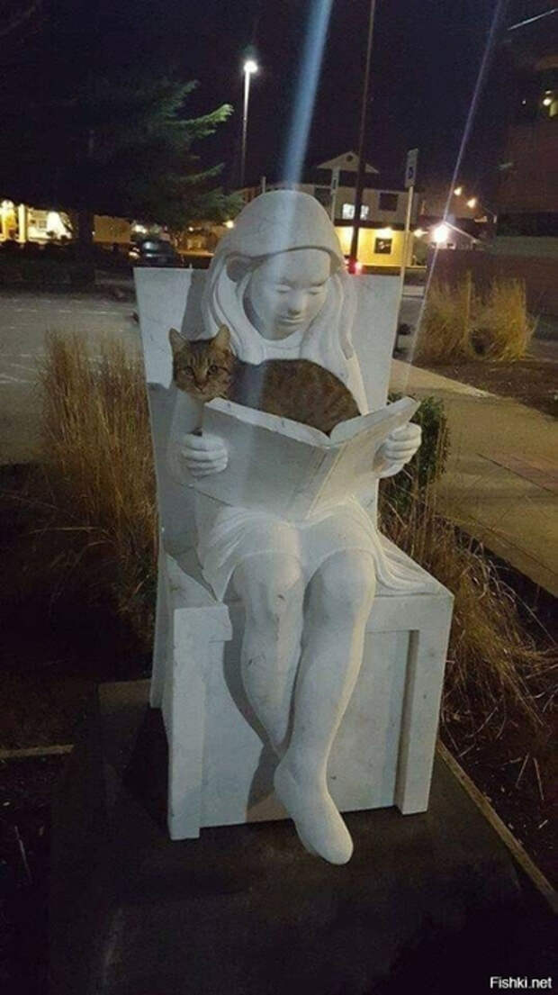 25b6436218c7ef8fc499080e03883ed0 (392x700, 243Kb)