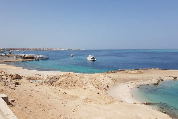 Пляжи популярного у россиян курорта Египта закрыли из-за акулы