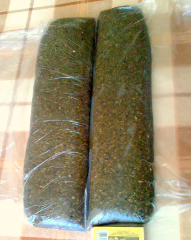 Халва из тыквенных семечек. Халва из тыквы. Халва с тыквой. Халва из тыквенных семян. Халва из семечек тыквы.