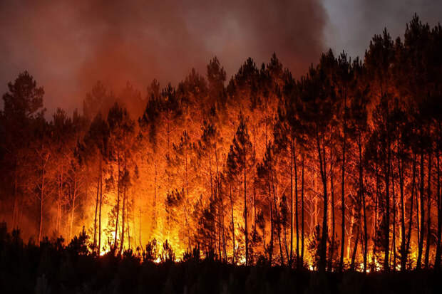 Пожар в лесу Луша на юго-западе Франции