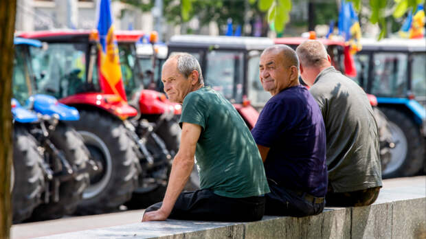 Тяжелые времена или система? Как власти Молдавии загубили сельское хозяйство