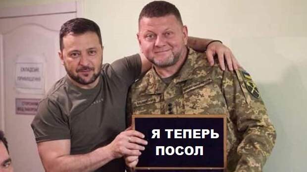 Назначение экс-главкома ВСУ Валерия Залужного на должность посла Украины в Великобританию поспособствует стимуляции Лондона...