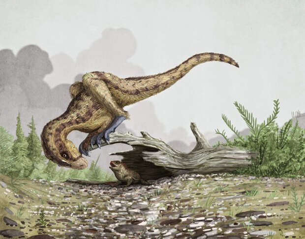 Этот малыш-аллозавр, как и многие детеныши крупных хищников мезозойской эры, начинал свою охотничью карьеру с ловли насекомых, ящериц и мелких млекопитающих