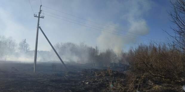 Опубликованы фото выжженных полей под Тверью