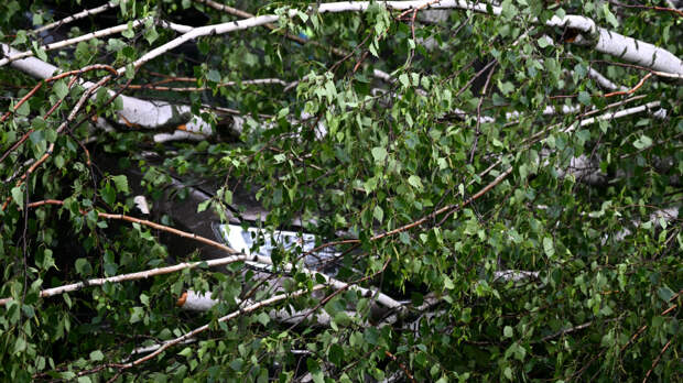Балкон рухнул на женщину в Омске во время урагана