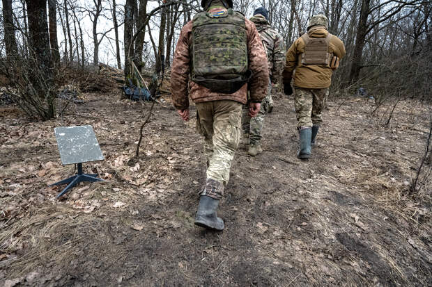 Стало известно о возможном обходе Россией ограничений на применение Starlink