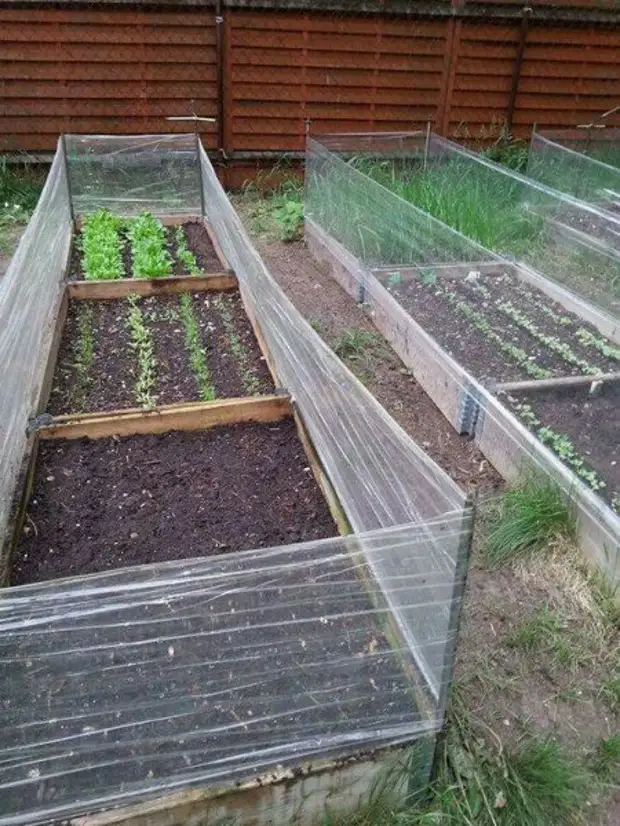 выполнишь грядки. выполнишь грядки. грядки из досок. высокие грядки на даче. насыпные грядки.