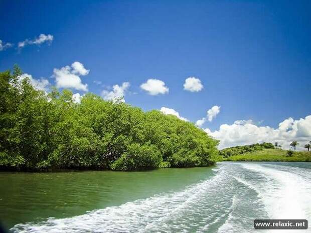 Brazil_029