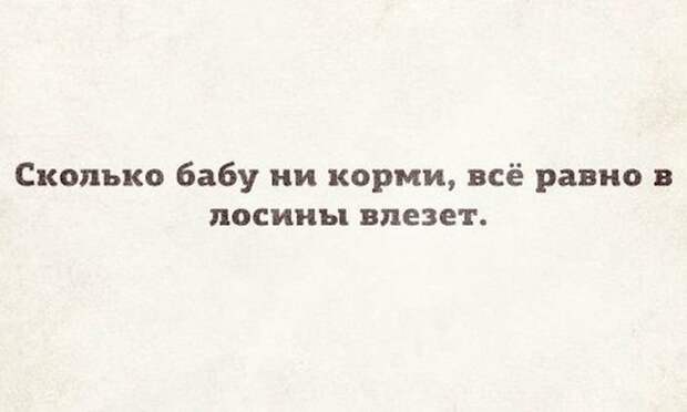 Фотоподборка четверга (104 фото)