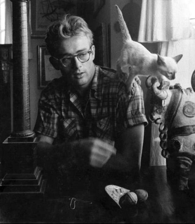 6. Джеймс Дин и его кот Маркус, Нью-Йорк, 1954 г. Instagram, звезды, знаменитости, знаменитости в молодости, известные, редкие фото, селебрити, старые фото