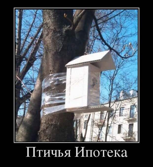 Подборка  позитивных   демотиваторов