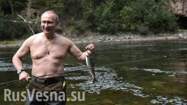 Для простых американцев Путин — классный мужик, с которым у них много общего, — The Guardian | Русская весна