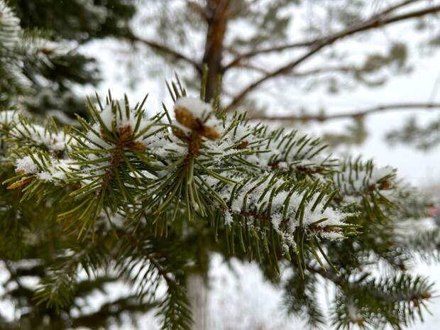 Сегодня ночью погода в Астраханской области испортится