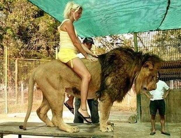 Настораживающие моменты