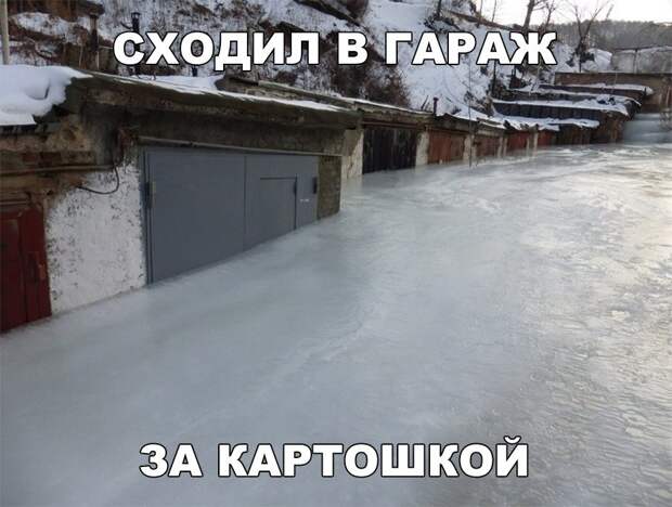 Подборка забавных фото и картинок с надписями (10 фото) Подборка забавных фото и картинок с надписями (10 фото)