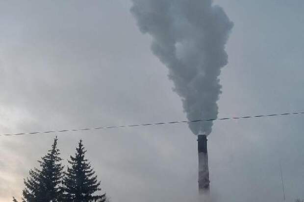 От кожи до электроники: какие отрасли в Тамбовской области взлетели, а какие рухнули в январе