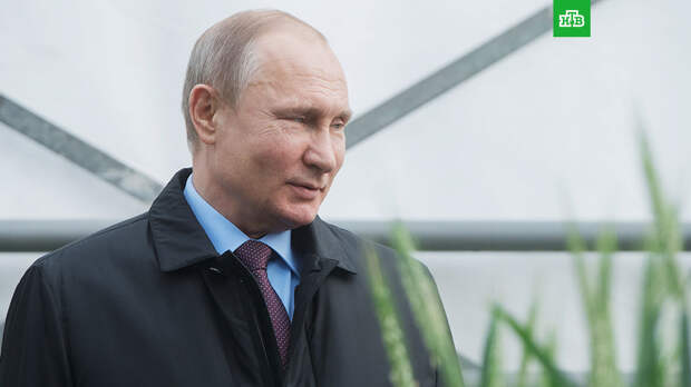 ЦИК: в Крыму и Севастополе Путин набирает более 91% голосов