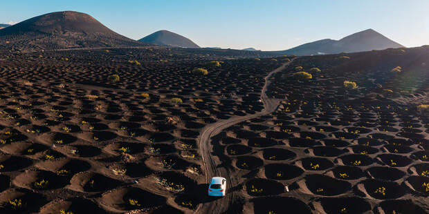 Вулканическое вино: миф или реальность?