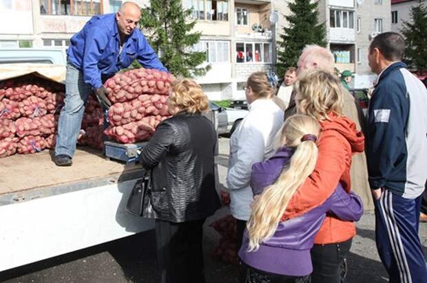 Во всех муниципалитетах Калининградской области начинают работать сельскохозяйственные ярмарки Во всех муниципалитетах Калининградской области начинают работать сельскохозяйственные ярмарки