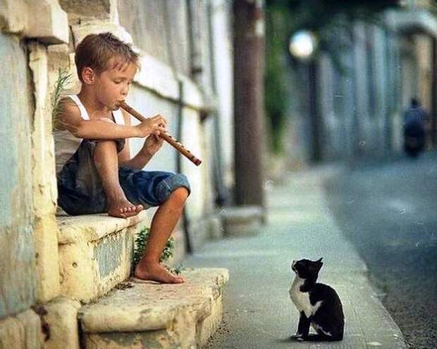 Дети индиго – кто они? Дети индиго – кто они?