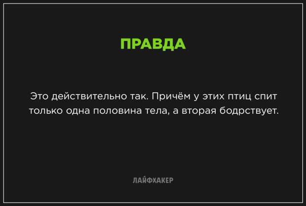 Невероятные научные факты