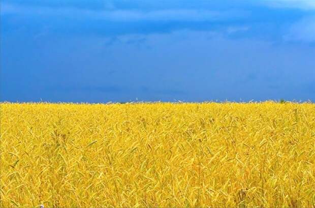 Новая Украина. Какой она будет?