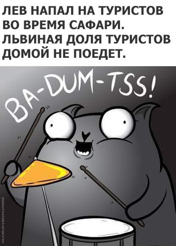 Стендап-кот и его коллекция саркастических комиксов Стендап-кот и его коллекция саркастических комиксов