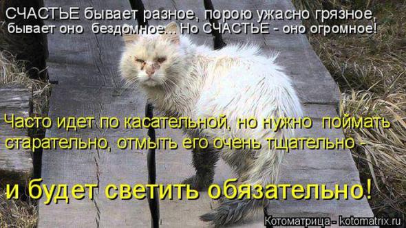 Котоматрицы(картинки с надписями)