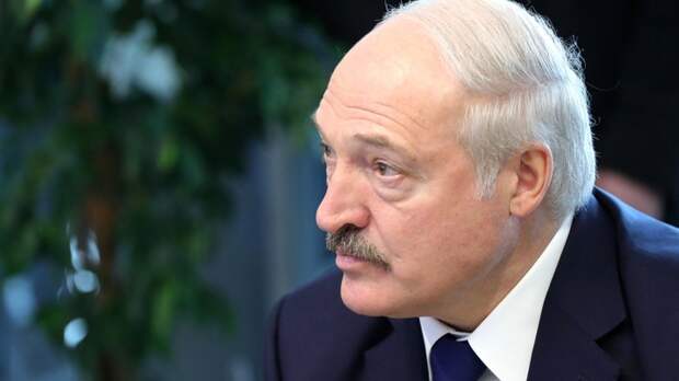 Лукашенко разоблачил фальшивку Германии с "Новичком" и Навальным. Есть запись