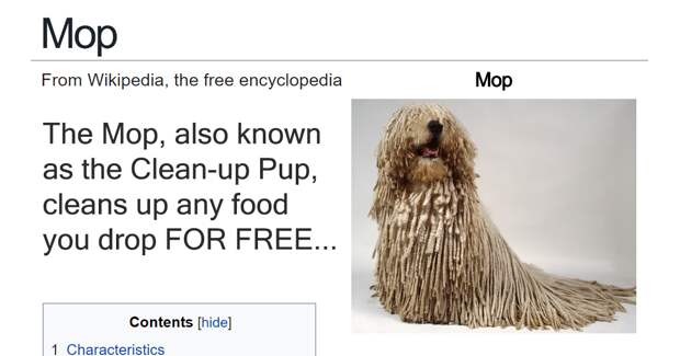 Someone Is Creating Fake Dog Breed Wikipedia Pages, And Komodor Will Crack You Up