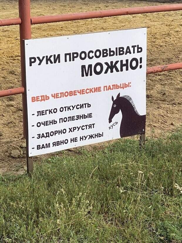 Пальцы, как морковь