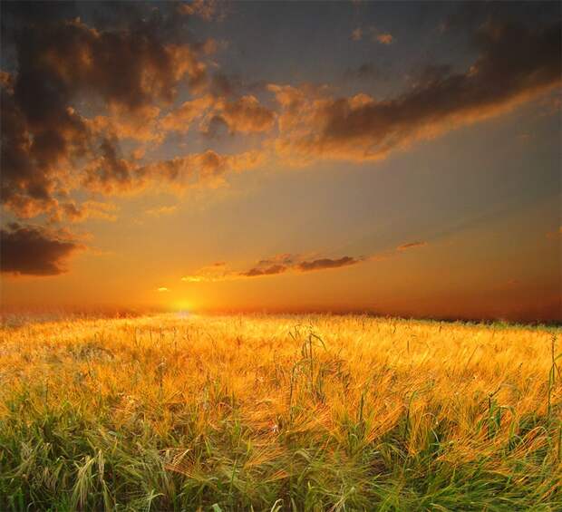 Фото жизнь - mondtag3106 - Пейзажи - Летнее поле