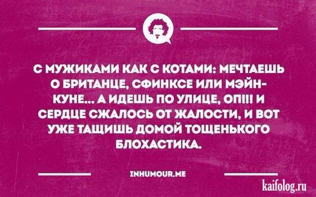 Прикольные открытки (35 картинок) Прикольные открытки (35 картинок)