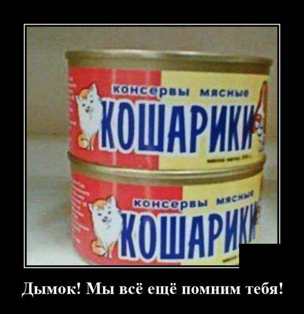 demotivatory-demotivator-smeshnye-demotivatory-demotivator-so-smyslom