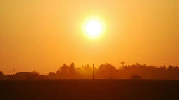 По Алтайскому краю вновь ударит 30-градусная жара
