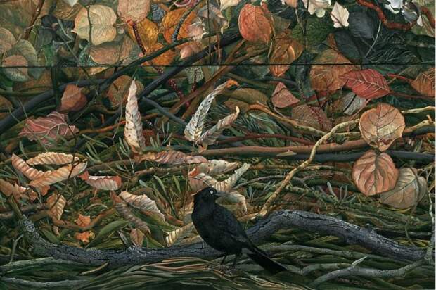 Ворон среди опавших листьев. Автор: Judy Garfin.