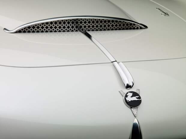 sportivnoe-kupe-pegaso-z-102 (11)