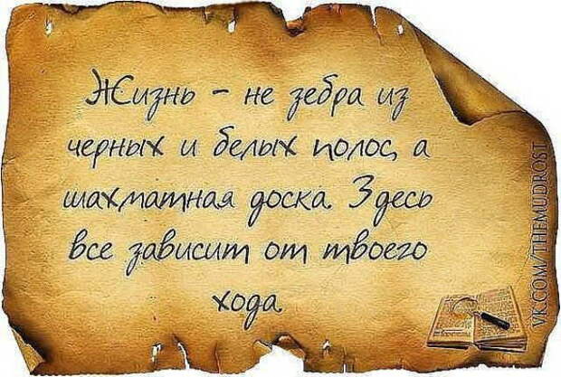 Трезвые мысли в картинках Трезвые мысли в картинках