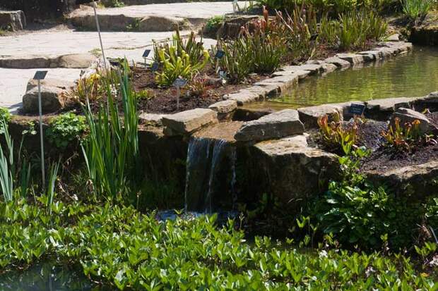 Сад в Уизли - один из садов с наибольшей колекцией растений