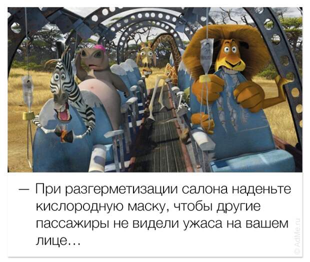 смешные цитаты из мультфильмов, фразы мультфильмы
