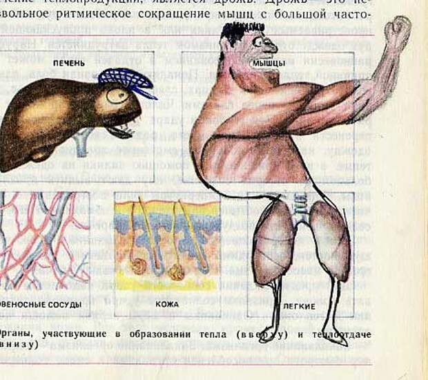 Забавно разрисованный учебник биологии перенесет вас назад в 9-й класс