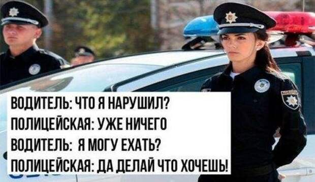 Картинки с надписями картинки, картинки с надписями, надписи, прикол, юмор