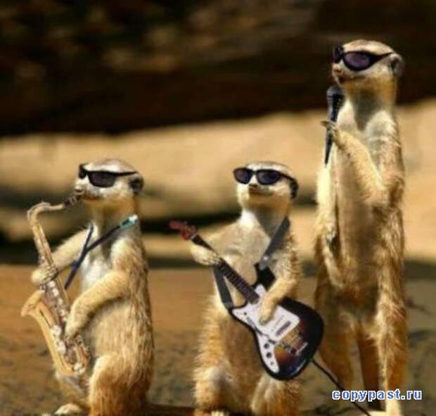 Картинка 14 из 69737