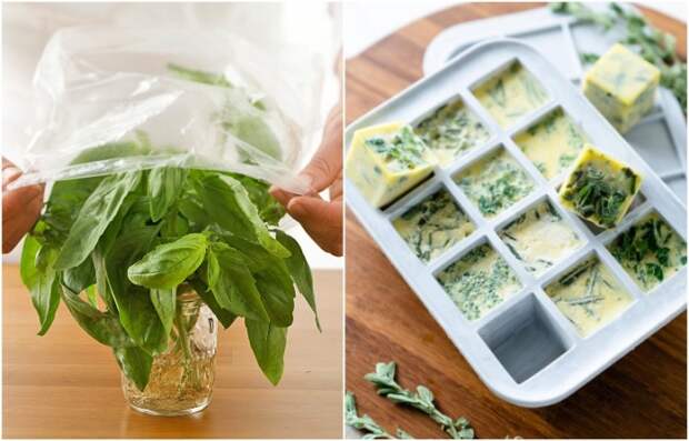 Зелень можно хранить целую или измельчить Зелень можно хранить целую или измельчить