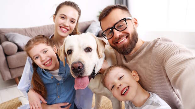 Какой сегодня праздник: 8 июля – День семьи, любви и верности