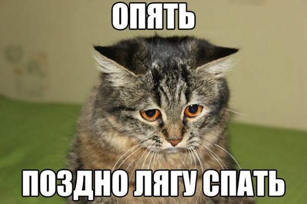 Всяко - разно 9  )))
