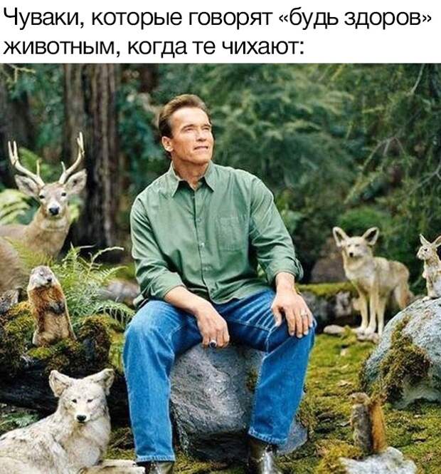 Подборка картинок. Вечерний выпуск (30 фото)