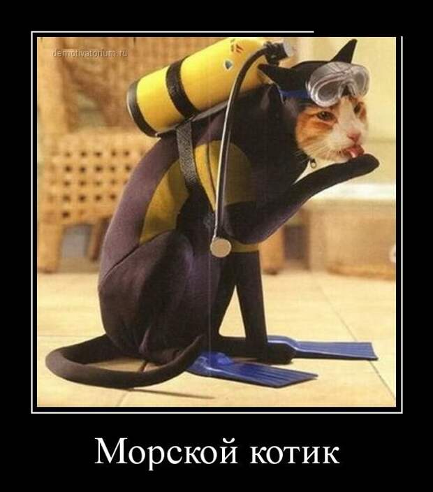 Демотиваторы (30 фото)